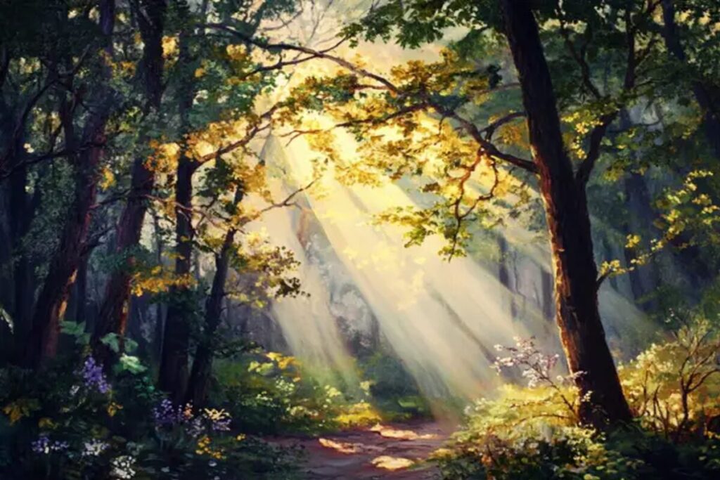 Sunlight breaking through a forest path, symbolizing hope rising through darkness during Advent.
