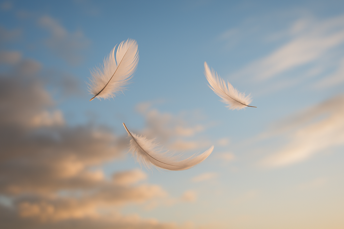 Soft feathers floating upward on a gentle breeze.